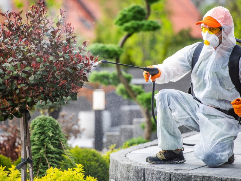 Hafik Haşere İlaçlama